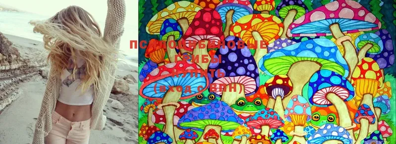 Псилоцибиновые грибы Cubensis  Алупка 